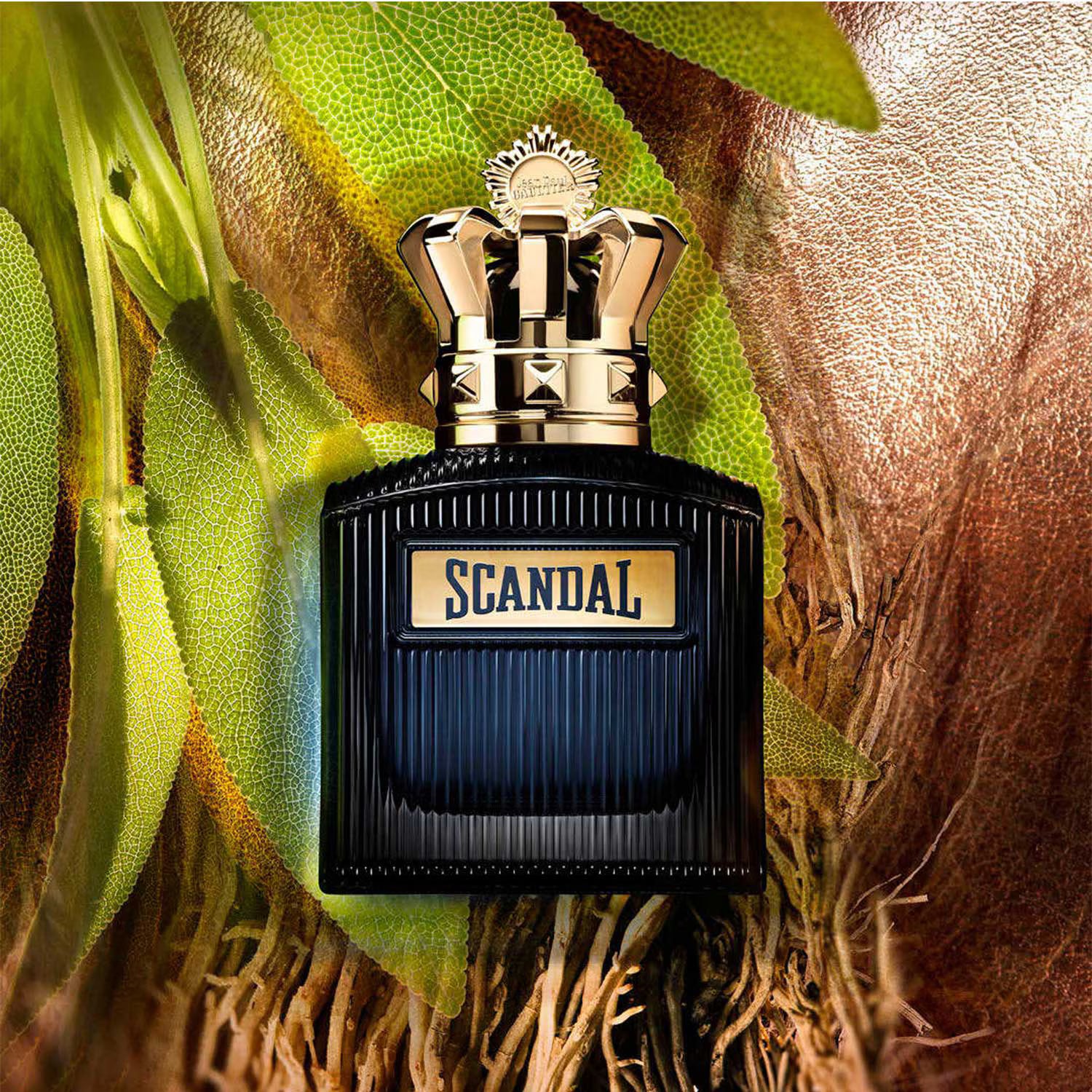 Scandale le parfum Intense