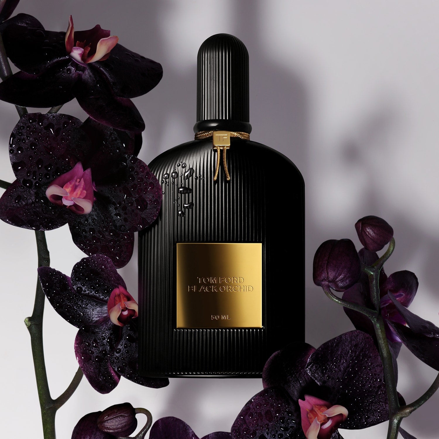 TF Black Orchid