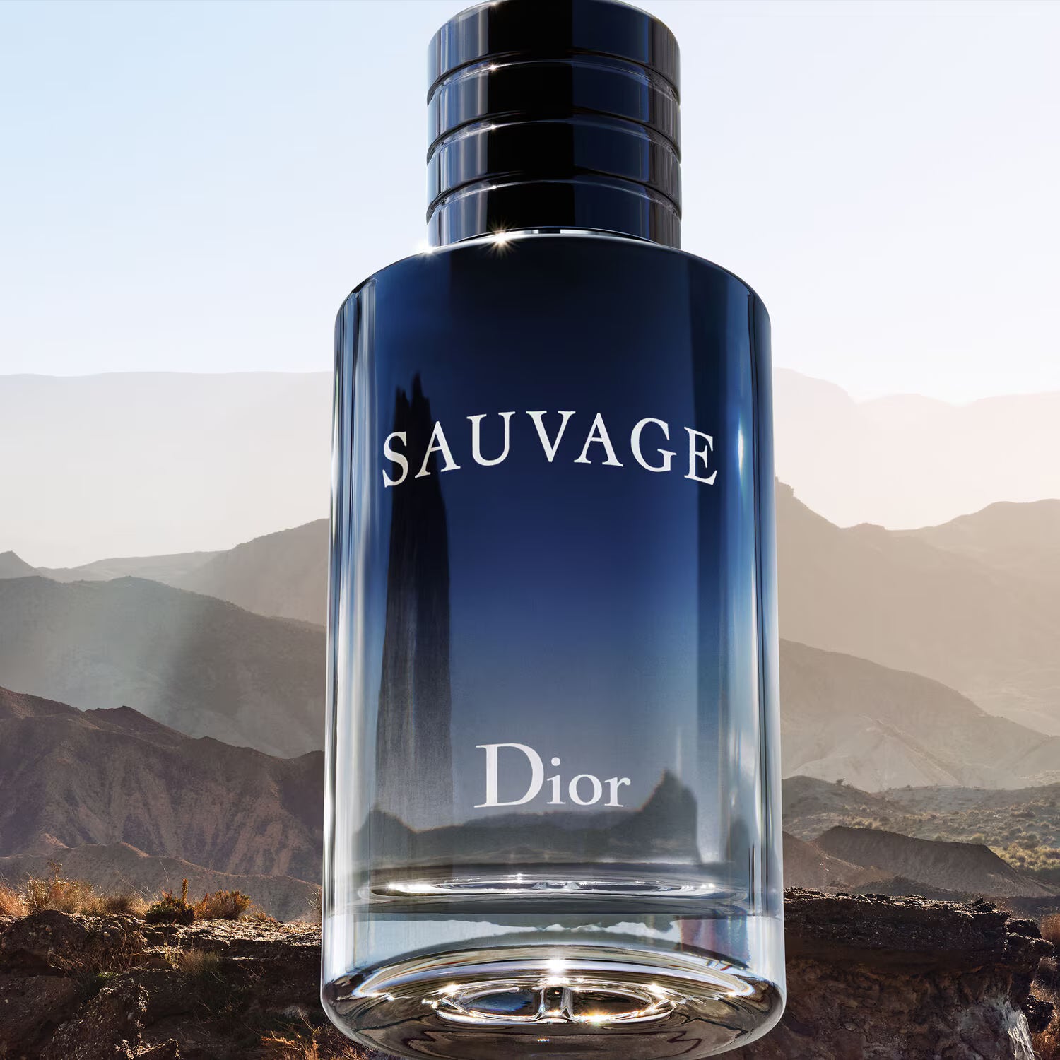 Sauvage EDT